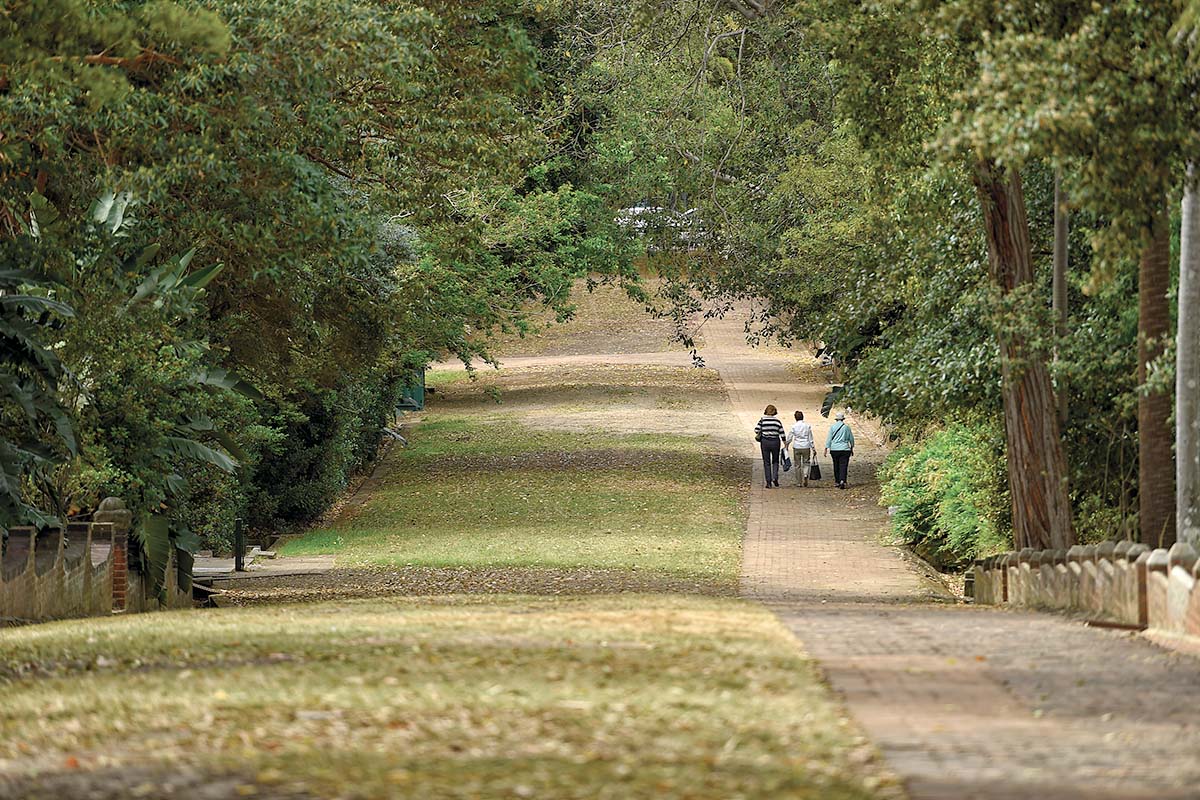 St Leonards Park in Crows Nest, Sydney, Australia.